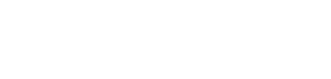 CDC Foundation-logo